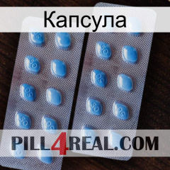 Капсула viagra4